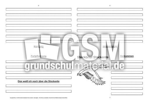 Stockente-Faltbuch-vierseitig-4.pdf